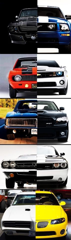 Muscle automobile - nice picture
