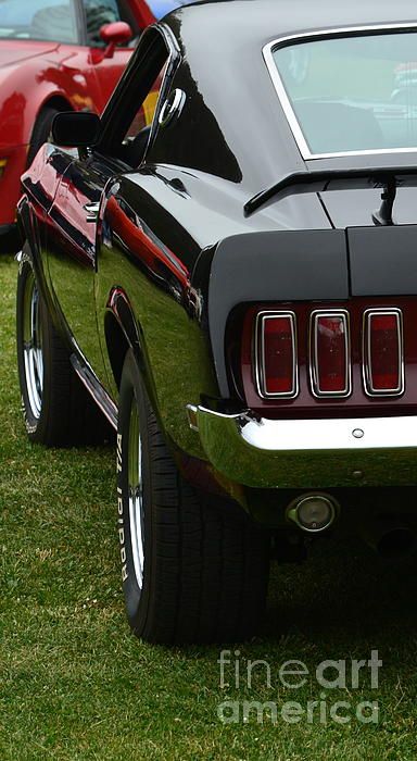 Muscle automobile - cute picture
