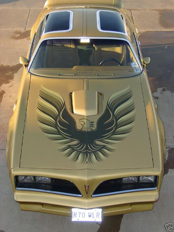 1978 Gold Special Edition Trans Am:  this was our wedding car (belonging to our best man) in 1982, and he still owns it.  When we visit, we still go cruising in it!