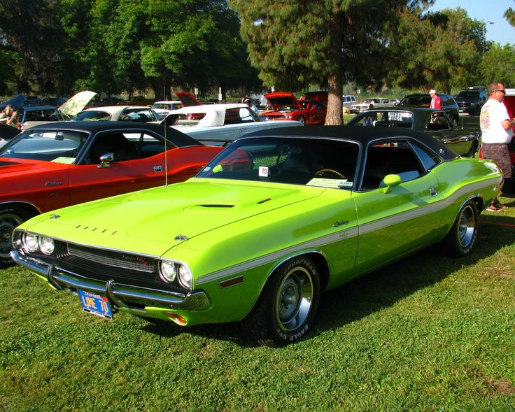 Muscle car
 - cute picture

