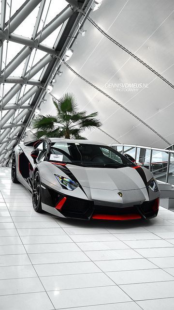 Luxury automobile - photo