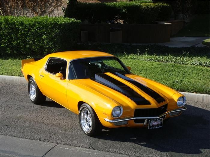 Muscle car - cute picture