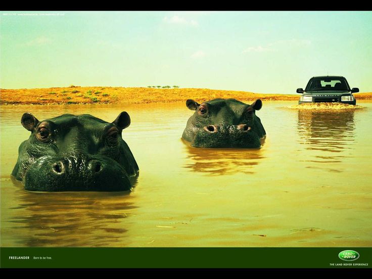 Land Rover - Freelander. Born to be there. #Advertising