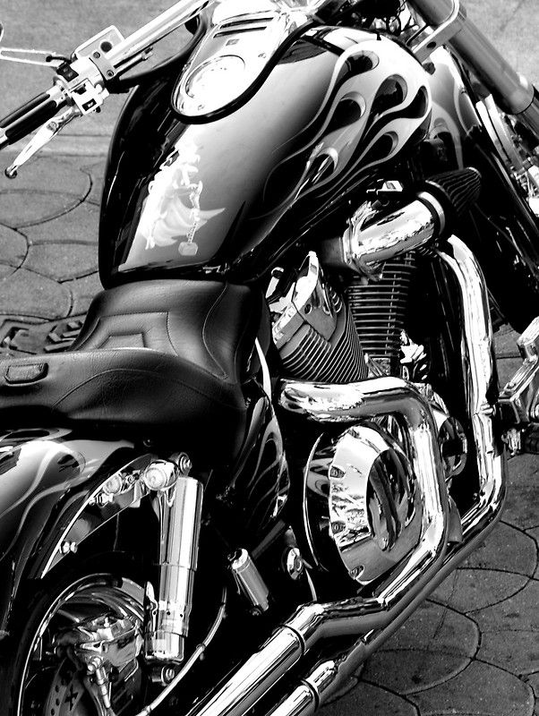 Not a Harley, not a Yamaha...yes maybe a Honda VTX. Black and White