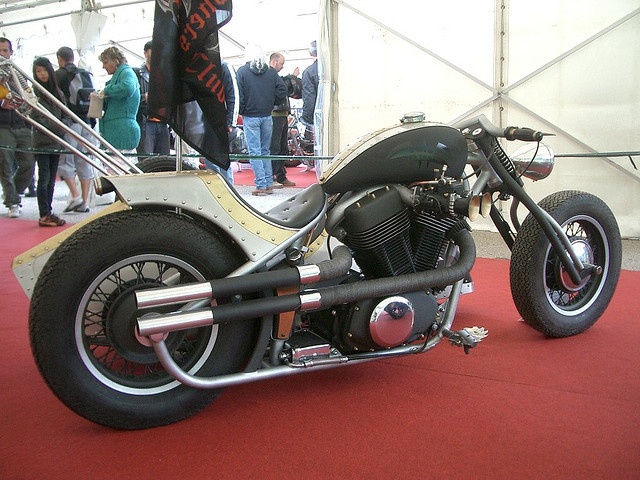 Motorbike - CIMG5124