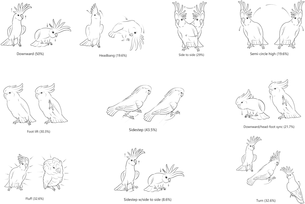 Папуги-какаду мають понад 30 танцювальних рухів: дослідження