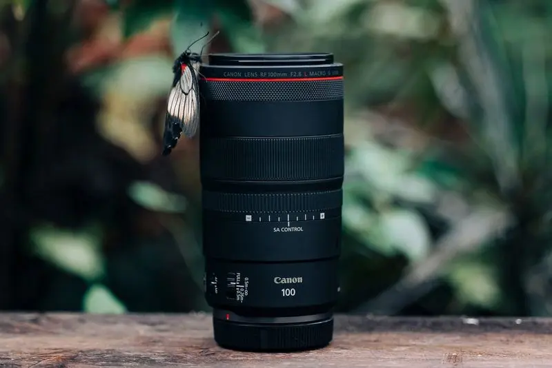 Canon RF 100 mm f/2.8 L Macro: об’єктив, який бачить більше, ніж людське око